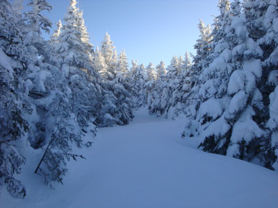 The spur trail to the summit of Cannon Mountain
