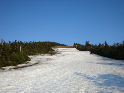 Looking up the Taft Trail on the way to Cannon Mountain