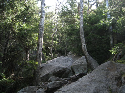 Looking up the Kinsman Ridge Trail on the way to Cannon Mountain