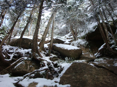 The nasty, eroded ascent of Cannon Mountain on the Kinsman Ridge Trail