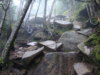 The nasty, eroded ascent of Cannon Mountain on the Kinsman Ridge Trail