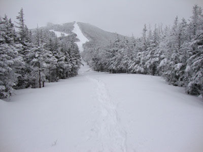Looking up the Taft Trail on the way to Cannon Mountain
