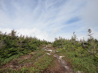 The Taft Trail on the way to Cannon Mountain