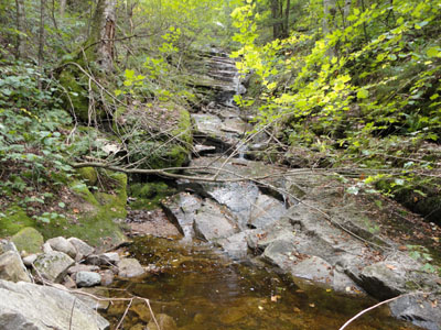 Plimpton Falls
