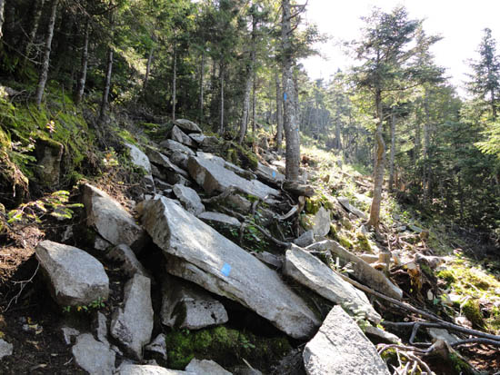 Kinsman Ridge Trail