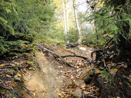 The Hi-Cannon Trail