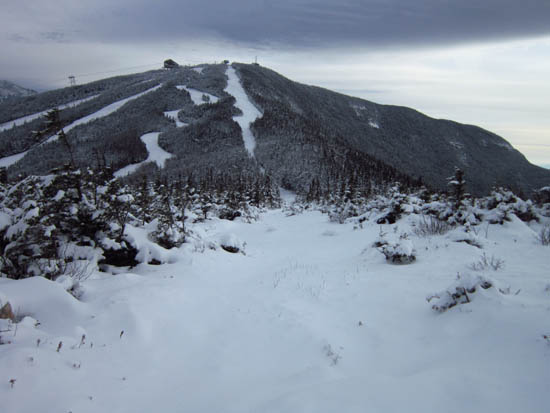 Looking up the Taft Trail