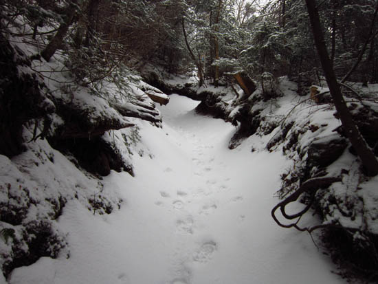 Kinsman Ridge Trail