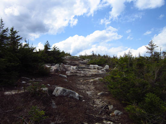 The Taft Trail