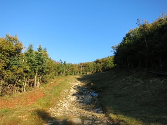 Looking up the Mittersill-Cannon Trail on the way to Cannon Mountain