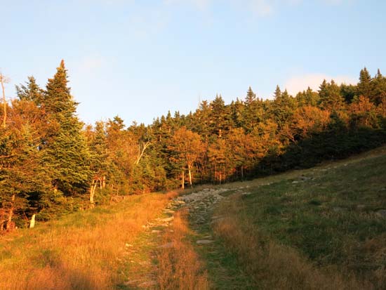 Looking up the Mittersill-Cannon Trail on the way to Cannon Mountain
