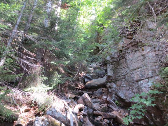 Rough terrain in the woods