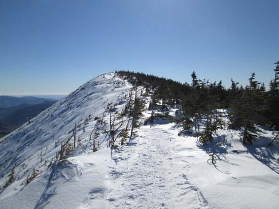 Signal Ridge