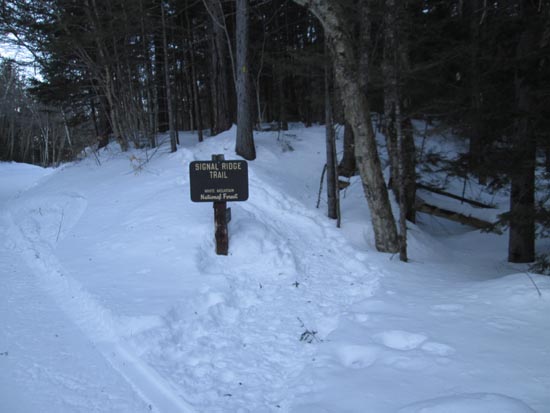Signal Ridge Trail trailhead on Sawyer River Road