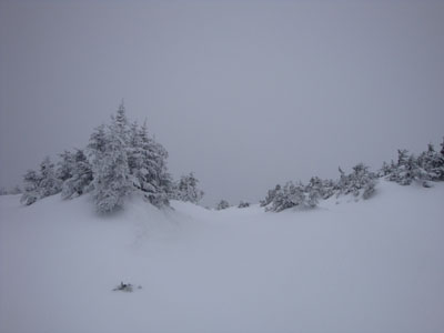 Looking into the clouds from near the Carter Dome summit - Click to enlarge