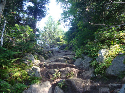 Looking up the Carter Moriah Trail on the way to Carter Dome