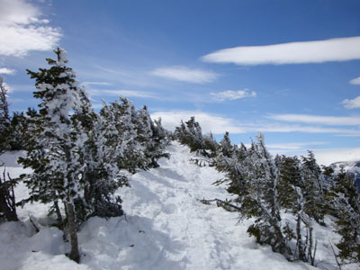 Looking up the Carter-Moriah Trail near Carter Dome