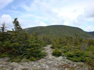 The Rainbow Trail at the subpeak on the way to Carter Dome