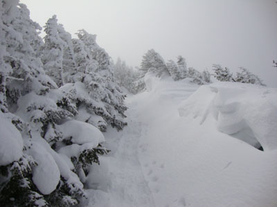 The Carter-Moriah Trail on the way to Carter Dome