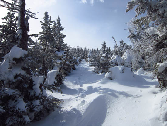 Looking up the Carter Dome Trail