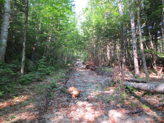 The Irene-washed-out Wild River Trail