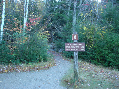 The Nineteen Mile Brook Trail trailhead on Route 16