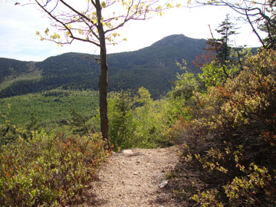 Looking down the Carter Ledge Trail on the way to Carter Ledge