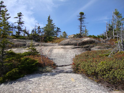 Looking up the Carter Ledge Trail on the way to Carter Ledge