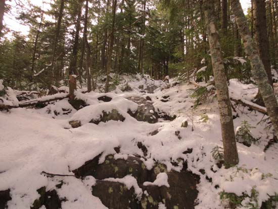 The Mahoosuc Trail on the way to Cascade Mountain