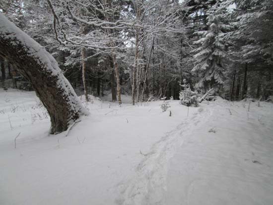 Bushwhacking to West Castle