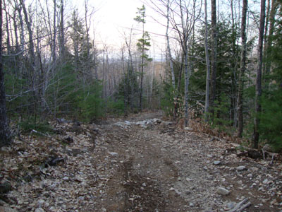 Looking down the Mt. Caverly Loop
