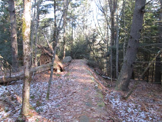 The Indian Ridge Trail