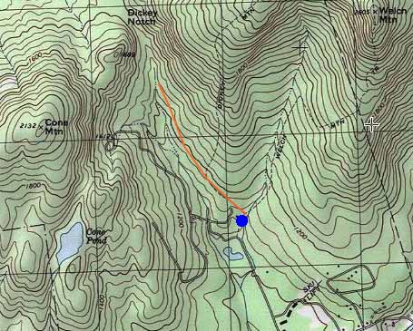Topographic map of Cone Mountain 