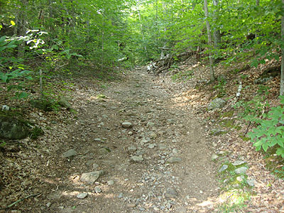 The Welch-Dickey Loop Trail (Dickey Branch) trailhead
