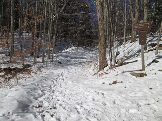 The Welch-Dickey Loop Trail (Dickey Branch) trailhead