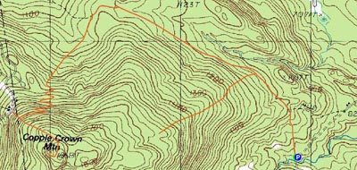 Topographic map of Copple Crown Mountain - Click to enlarge