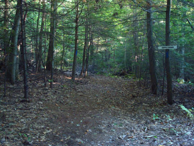 Looking up the trail to Copple Crown Mountain