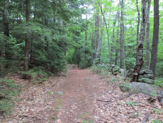 The Copple Crown Trail