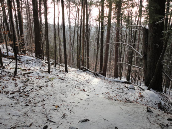 The Crawford-Ridgepole Trail on the way to Cotton Mountain
