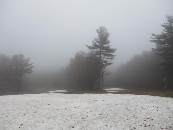 Looking down one of the ski trails