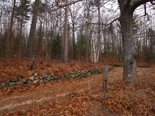 The start of the road to the White Trail