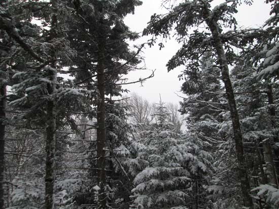 Crystal Mountain's Southwest Peak