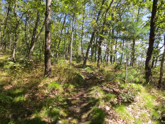 The Daniels Mountain Loop Trail