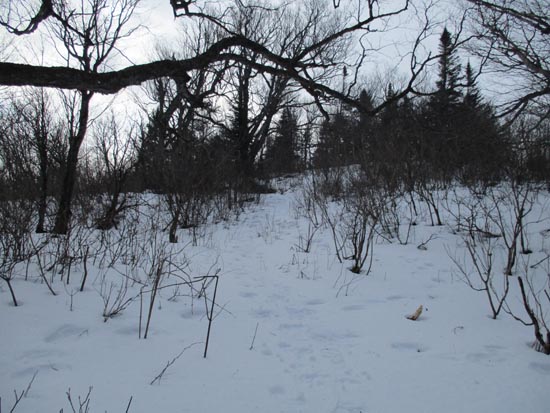 The path to the summit of Southeast Dead Water Ridge