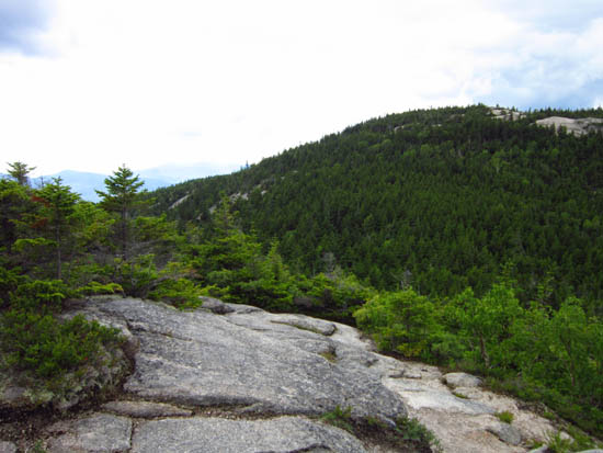 Looking down the Welch-Dickey Loop Trail