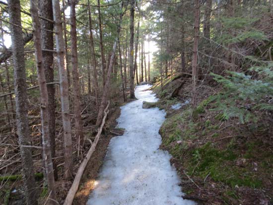 The Welch-Dickey Loop Trail between the peaks