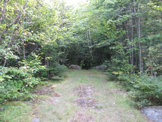 The beginning of logging road to nowhere off Sandwich Notch Road