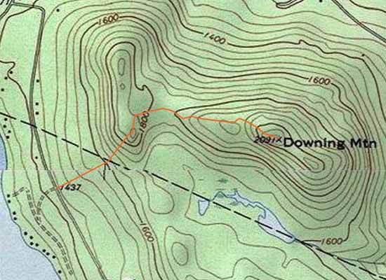 Topographic map of Downing Mountain