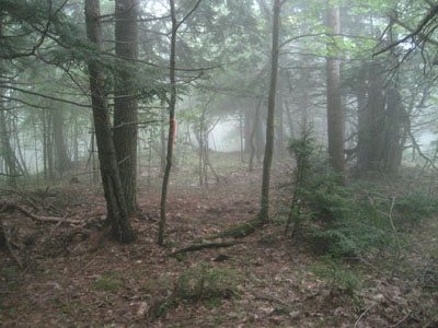 The Scarboro Ridge Trail near Durgin Hill