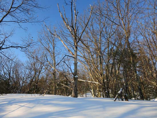 Ascending the ridge on Durrell Mountain